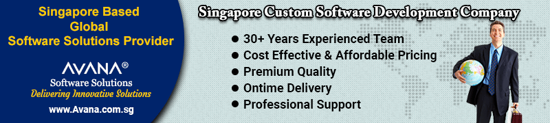 Custom Software Development Company in Singapore
